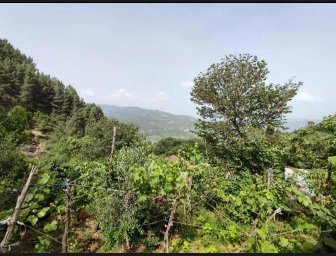 Hotel Gest House Felau Përmet Albania